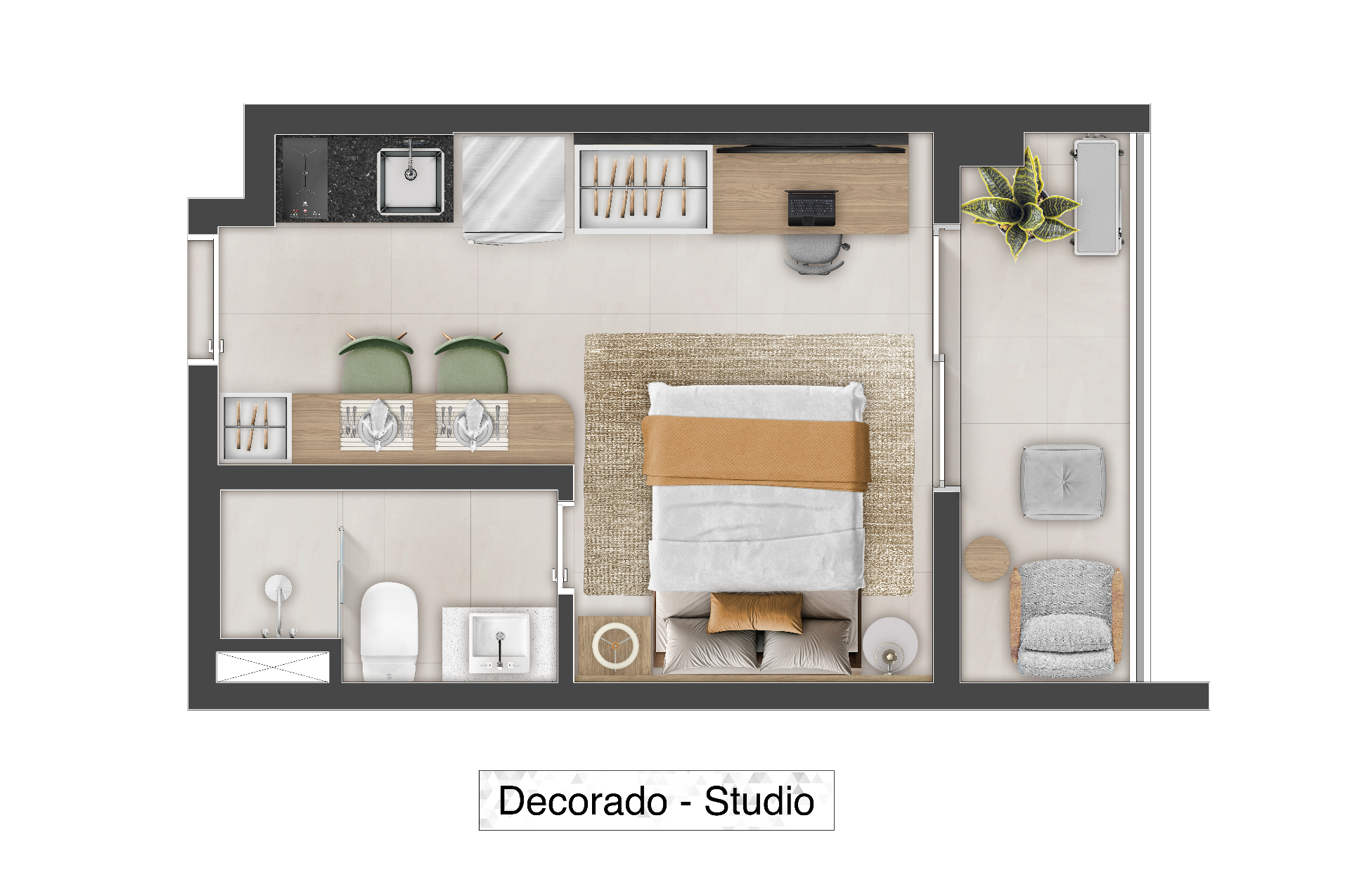 Planta 25 m²